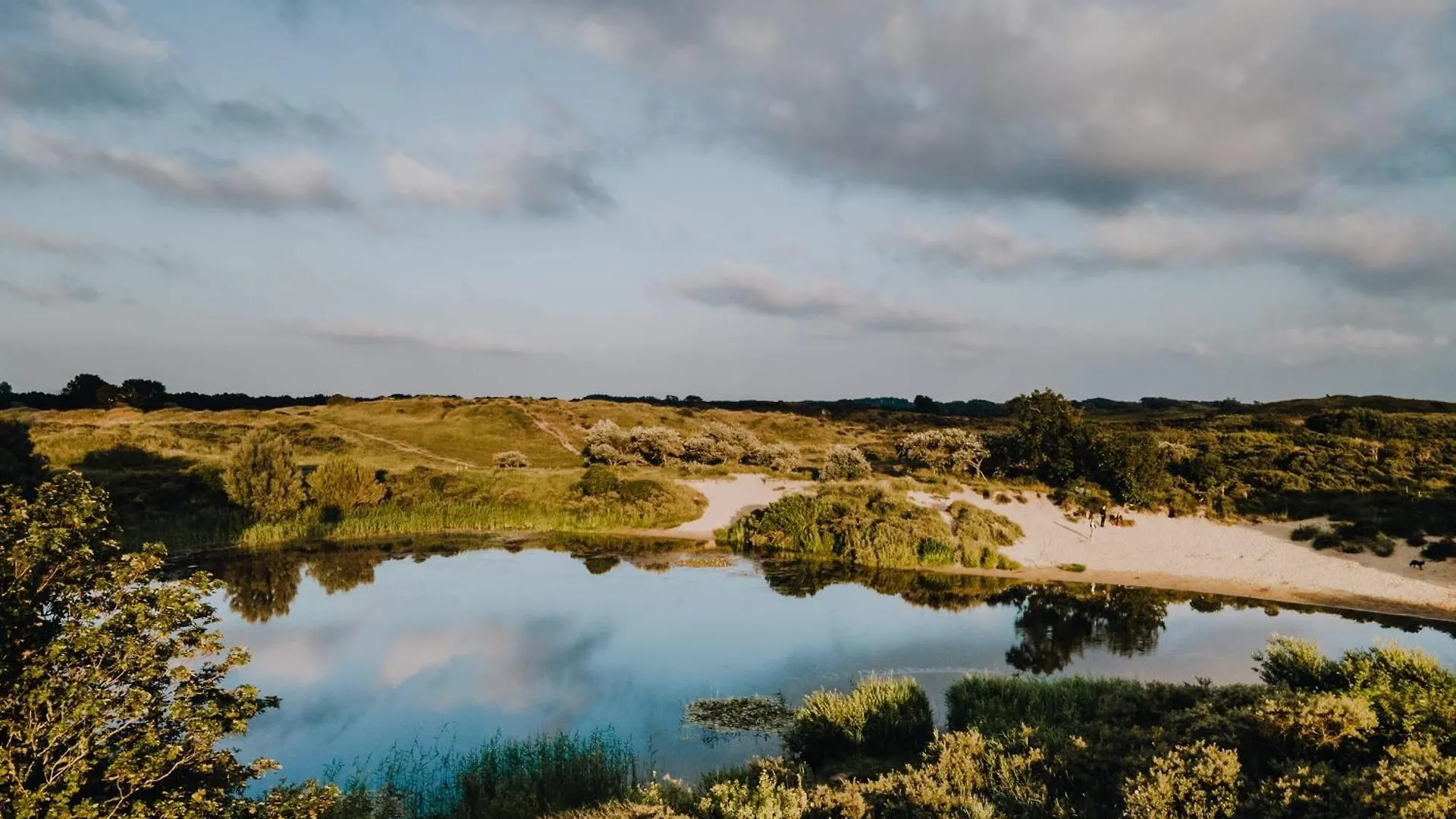 Studio The Dunes Zandvoort